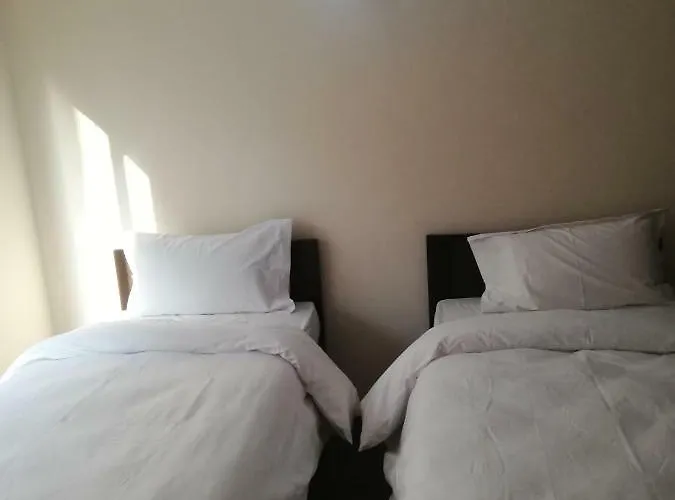 Bodhi Tree Hostel