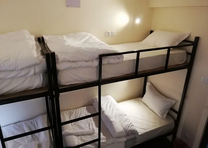 Bodhi Tree Hostel