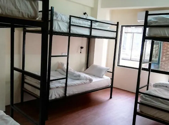 Bodhi Tree Hostel