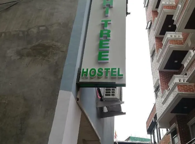 Bodhi Tree Hostel Kathmandu