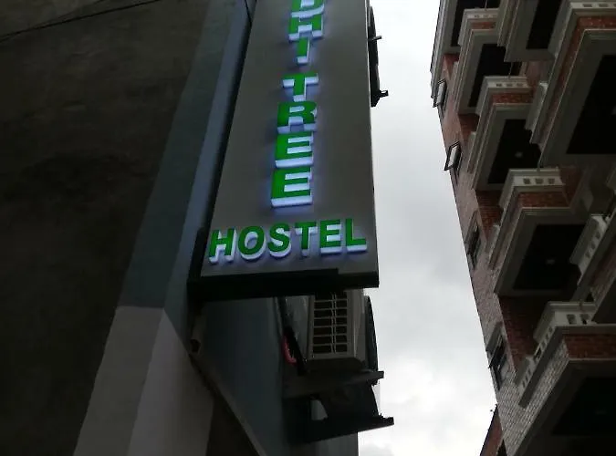 Hostel Bodhi Tree *