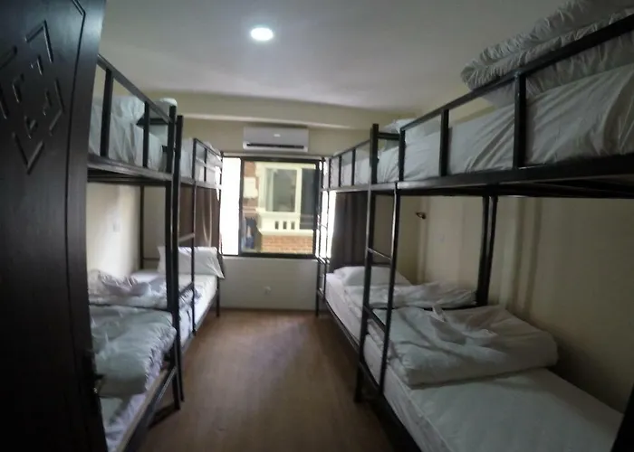 Bodhi Tree Hostel