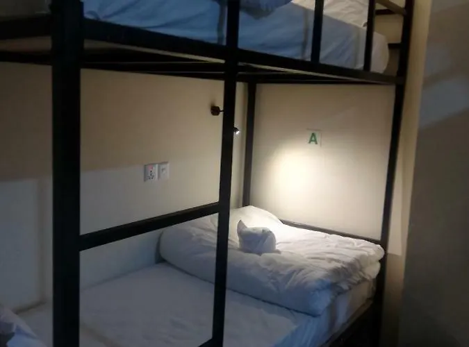Hostel Bodhi Tree *