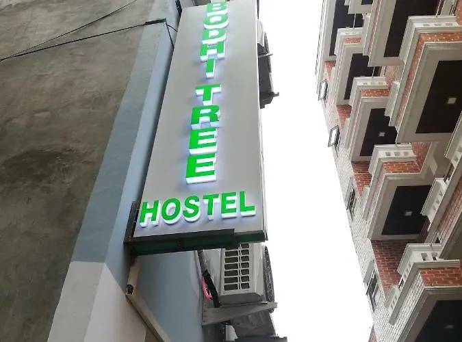 Bodhi Tree Hostel *