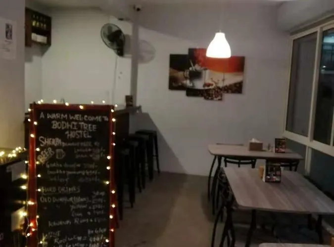Bodhi Tree Hostel